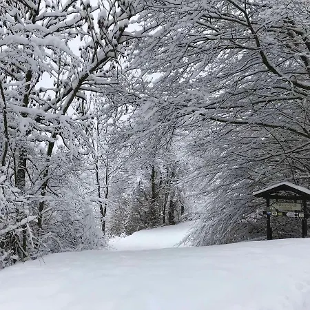 Schwendner Thanstein